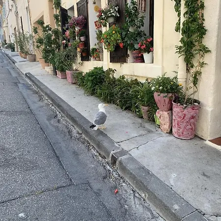 Appartement Atypique Cosy Entre Terre & Mer Marseilles Exterior foto